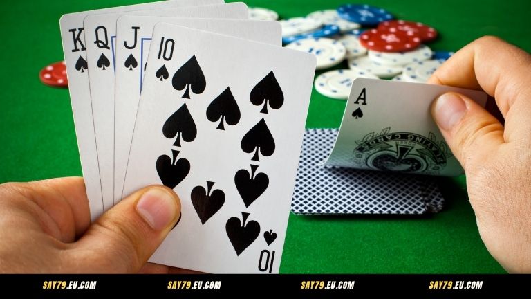 Giới thiệu về Sâm Say79